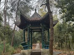 -三江森林温泉度假区