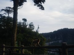 -峨眉山风景名胜区