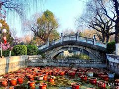 -咸阳湖景区-古渡公园