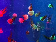 -成都浩海立方海洋公园