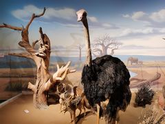 -陕西自然博物馆