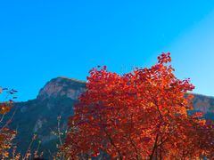 -周口店坡峰岭风景区