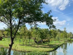 -溱湖国家湿地公园