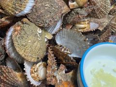 -滨海小渔村·海肠捞饭·鲅鱼水饺·特色老火鱼丸汤(华田店)