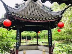 -上海醉白池公园