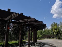 -永定河休闲森林公园