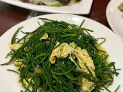 -范记靖远羊羔肉(博物馆店)