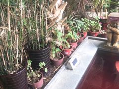 -悦隆庄温泉度假酒店