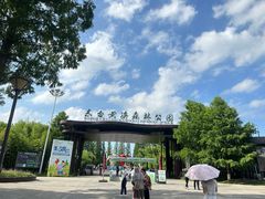 -黄海国家森林公园