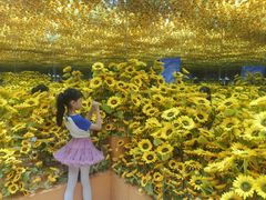 -郑州梵高星空错觉艺术馆(大上海城旗舰店)