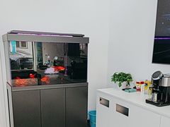 -北亚国超特斯拉授权钣喷中心