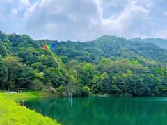 -龙坞茶村