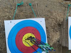 -道顺射箭·团建·骑射(张杨路店)