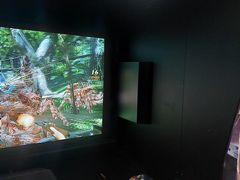 -大玩家(大连高新万达店)