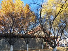 -元大都城垣遗址公园