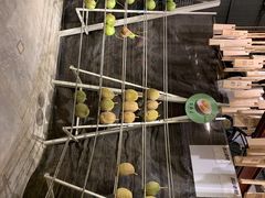 -都念榴莲·城市榴莲