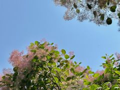 -青州古城