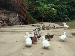 -石梅湾艾美度假酒店