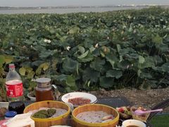 -七的湖·晚芳亭·阳澄湖农家菜·大闸蟹(莲花岛店)