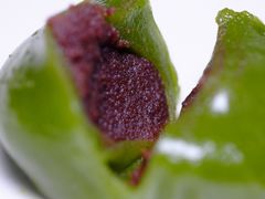 -杏花樓(大世界店)