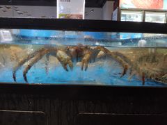 水产区-盒马鲜生(馥邦国际店)