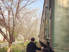 -新天地活力PARK