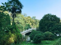 -武侯墓风景区
