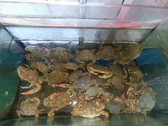 -百丰园海鲜烧烤农家菜(威·至海港湾店)