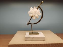 -瑞安母贝安月子会所