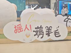 -阳光天地