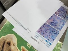 -四月宠物医院·猫专科·心脏专科·内科(转塘店)