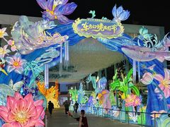 -海合安成都极地海洋公园