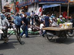 -哈尔滨道外花鸟鱼市场