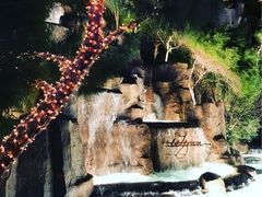 -拉斯维加斯永利酒店