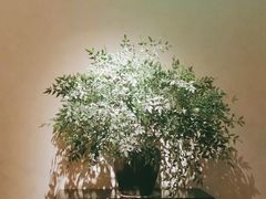 -山里亲戚(淞虹路店)