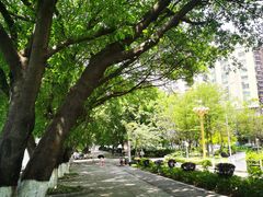 -市中心风采楼步行街