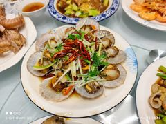 油泼扇贝-1903青岛老味道·青岛菜(栈桥店)