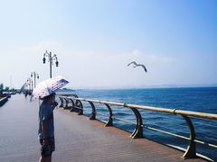 -东港音乐喷泉广场