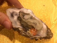 -陈记高压锅鱼头·生蚝