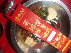 -谭鸭血老火锅(万象九宜城店)