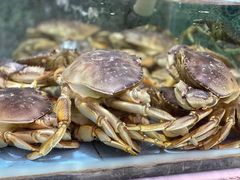 -快乐海鲜城(虎泉街店)