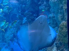 -海合安青岛极地海洋公园