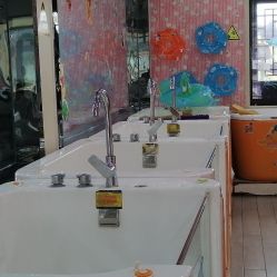 -东方幸福国际母婴月子会所(宿迁店)