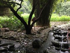 -成都市活水公园