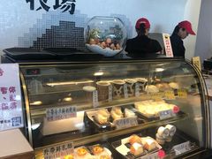 -瑞穗牧场