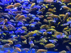 -成都浩海立方海洋公园