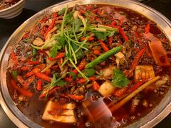 -川道拐耗儿鱼(旗舰店)