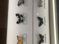 -浦乐汇·汤泉水世界