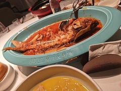 -阿五黄河大鲤鱼(英协路店)