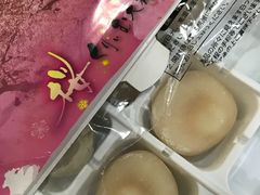 -富士山吉田線五合目